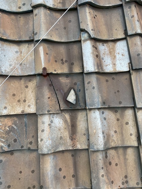 凍害被害の痕跡